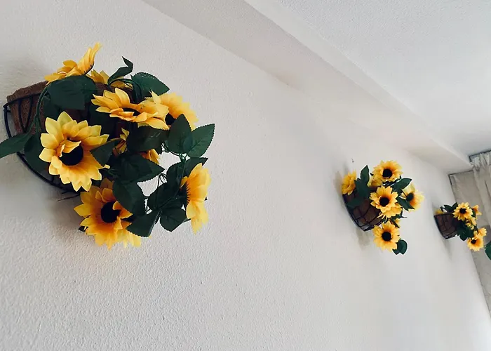 Apartamentos Ruz