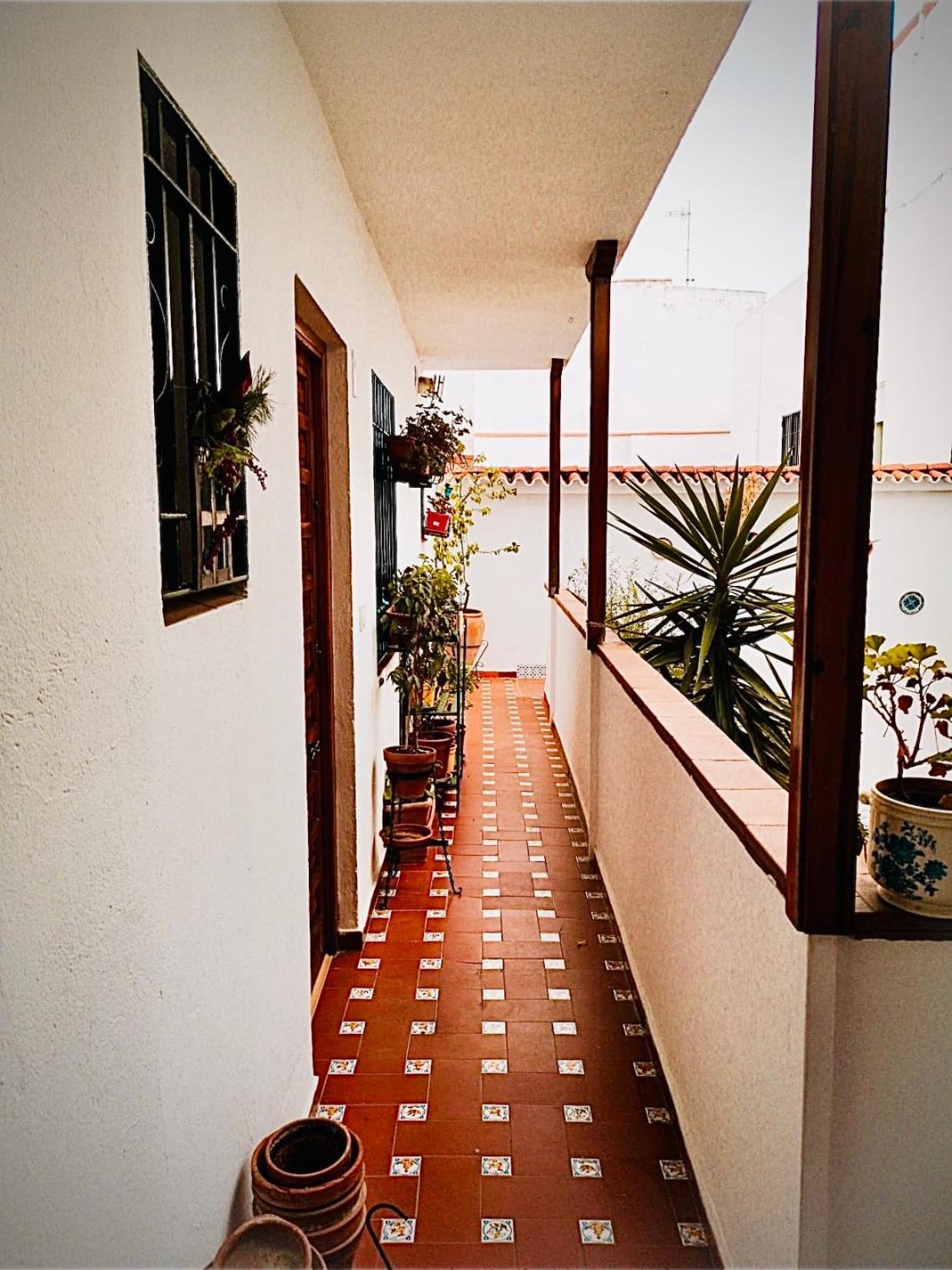 Ruz Cordoba