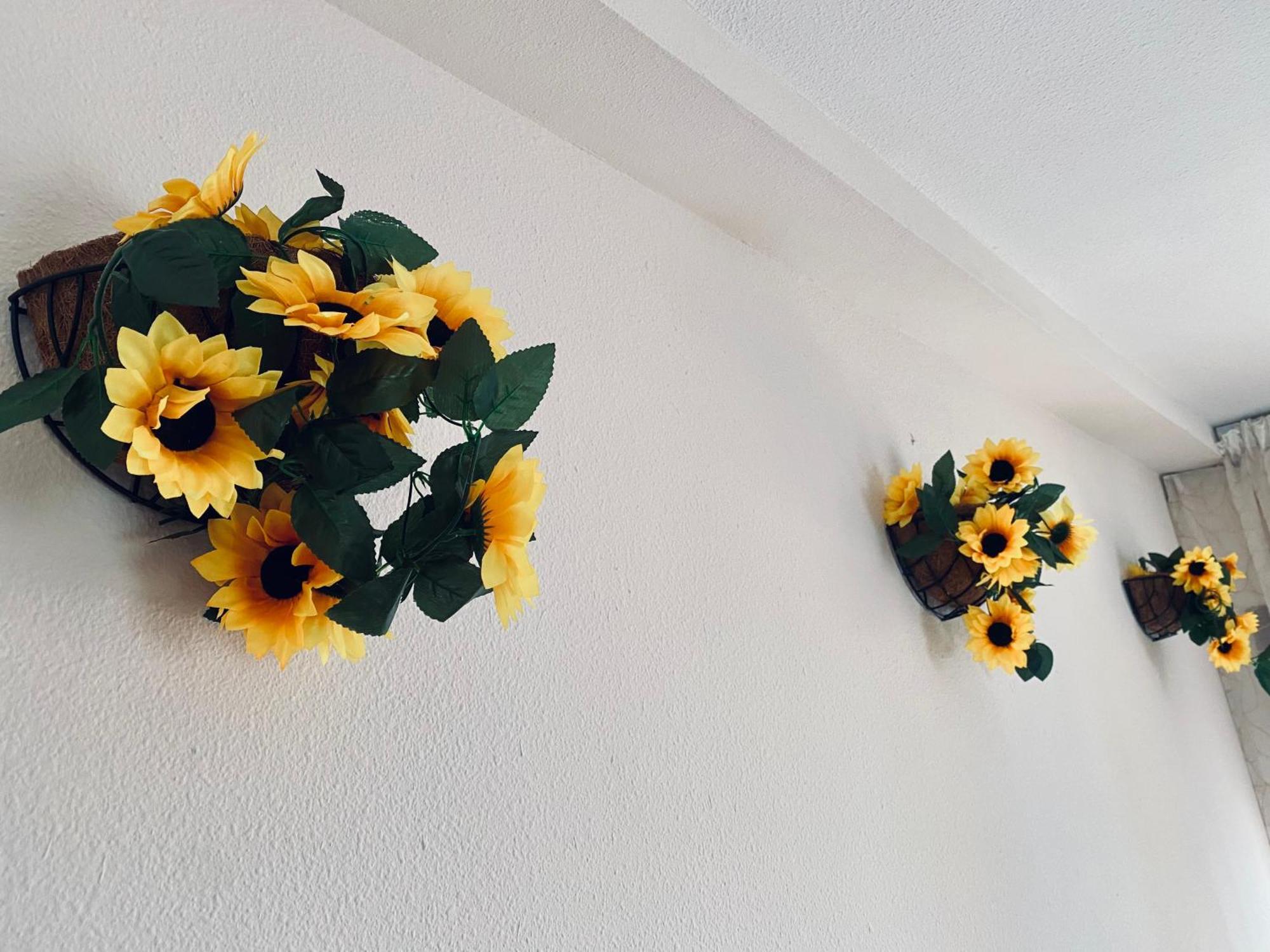 Ruz Apartment *